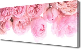 Fotoobraz na płótnie Aksamitne Róże w Ogrodzie