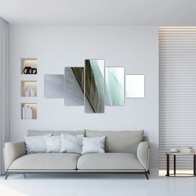 Obraz - Pióra, makro (125x70 cm)