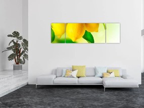 Obraz cytryn (170x50 cm)