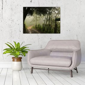 Obraz na szkle porannej mgły (70x50 cm)
