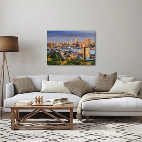 Obraz - Panorama Rotterdamu, Holandia (70x50 cm)