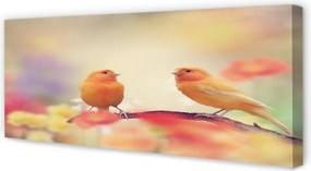 Obraz canvas na ścianę Stado Kolorowych Papug