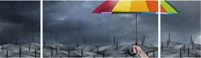 Obraz - Parasole (170x50 cm)