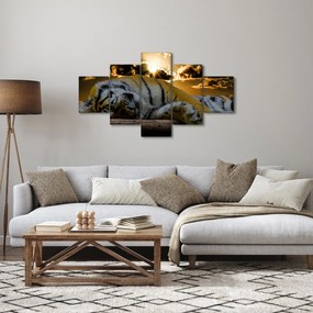 Obraz śpiącego tygrysa (125x70 cm)