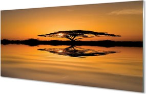 Szklany Panel Drzewo o Zachodzie Słońca