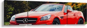 Obraz - czerwony Mercedes (170x50 cm)