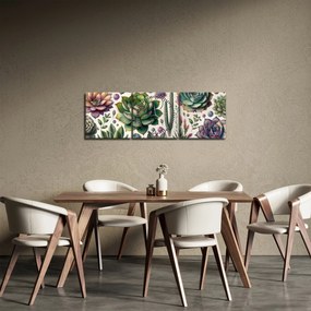 Obraz - Sukulenty (z zegarem) (90x30 cm)