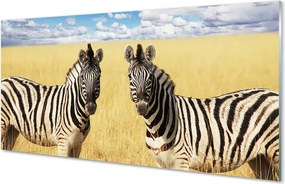 Szklany Panel Stado Zebr na Sawannie