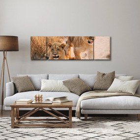Obraz lwiątek (170x50 cm)