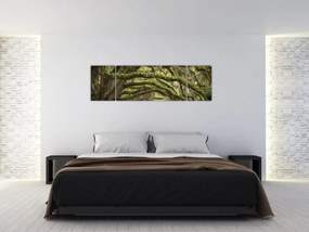 Obraz - Oaks Avenue, Charleston, Karolina Południowa, USA (170x50 cm)