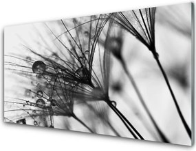 Panel Kuchenny Botaniczna Abstrakcja Graficzna