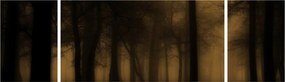 Obraz - Ciemny las (170x50 cm)