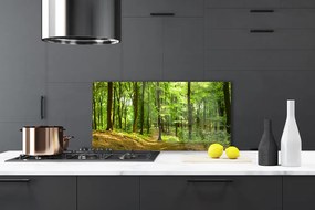 Szkło do Kuchni na Ścianę Ścieżka Przez Dziki Las