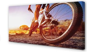 Obraz drukowany na płótnie Rower na Górskim Szlaku