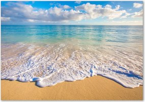 Foto obraz szkło akryl Hawajska plaża