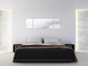Obraz - Szczegół piórka (170x50 cm)