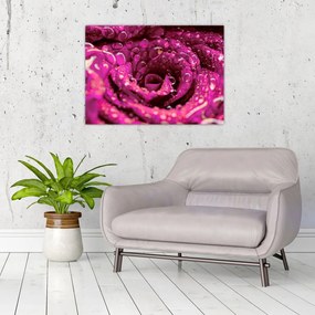 Obraz różowego kwiatu róży (70x50 cm)