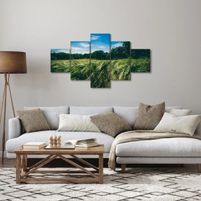 Obraz łąki i lasu (125x70 cm)