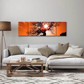 Obraz - Dąb o zachodzie słońca (170x50 cm)