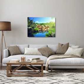Obraz na szkle - jezioro w dżungli Seszeli (70x50 cm)