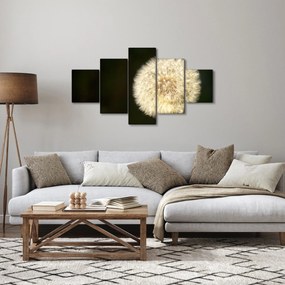 Obraz szarego dmuchawca (125x70 cm)