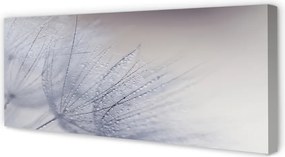 Duży obraz na płótnie Dmuchawce w Porannej Rosie