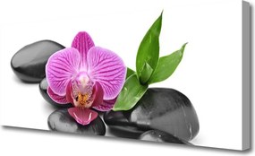 Obraz na płótnie Symbol Spokoju: Kamienie i Kwiat