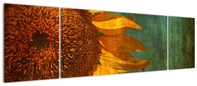Obraz - Słonecznik (170x50 cm)