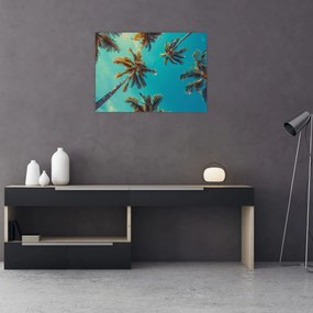 Obraz na szkle - Wysokie palmy (70x50 cm)