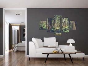 Obraz ścieżki pomiędzy drzewami (125x70 cm)
