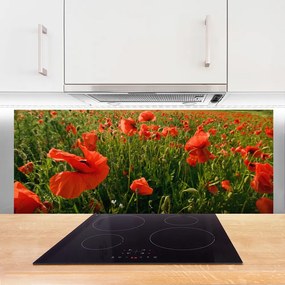 Panel Szklany Maki w Porannej Rosie