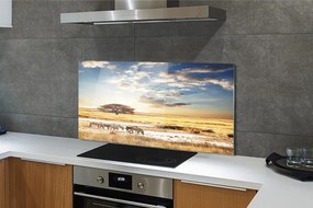 Panel szklany do Kuchni Zebry i Akacja pod Chmurami