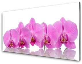 Obraz Szklany Różowa Orchidea Kwiaty