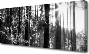 Duży obraz na płótnie Zielone Serce Lasu