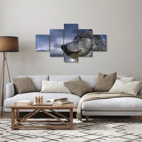 Obraz - Głowa wilka (125x70 cm)