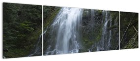 Obraz wodospadu (170x50 cm)