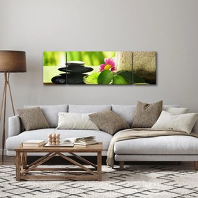 Obraz narzędzi do masażu (170x50 cm)