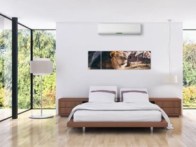Obraz leżącego lwa (170x50 cm)