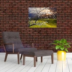 Obraz na szkle - Kwitnące drzewo w krajobrazie (70x50 cm)