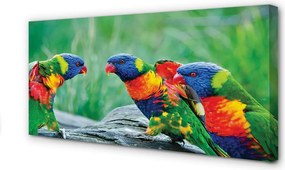 Obraz na płótnie Kolorowe Papugi na Drzewie