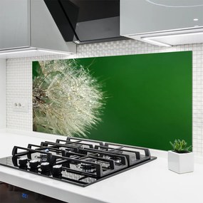 Szkło do Kuchni na Ścianę Puszysty Mniszek Lekarski