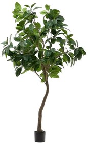 Sztuczny fikus (wysokość 210 cm) Ficus – Kave Home