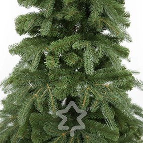 Jodła naturalna 210 cm