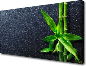 Zdjęcie na płótnie Egzotyczny Pęd Bambusa