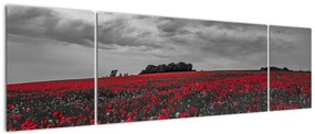 Obraz maków (170x50 cm)
