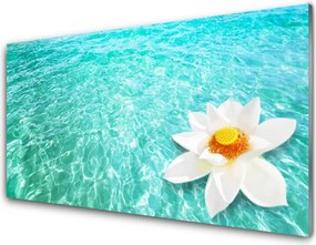 Panel Szklany Kwiat Lotosu na Wodzie