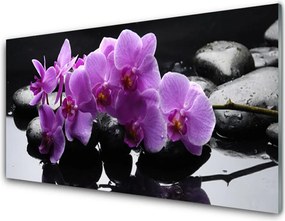 Panel Szklany Harmonijny Kwiat Na Kamieniach