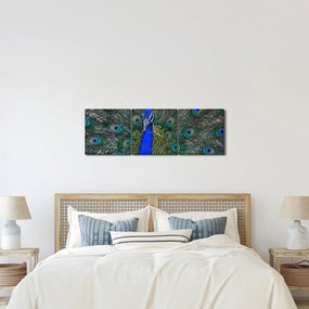 Obraz - Paw (z zegarem) (90x30 cm)
