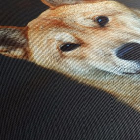 Obraz psa (z zegarem) (90x30 cm)