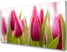 Szkło Dekoracyjne do Kuchni Wiosenne Pole Tulipanów